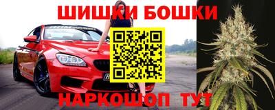 ПСИЛОЦИБИНОВЫЕ ГРИБЫ Коммунар