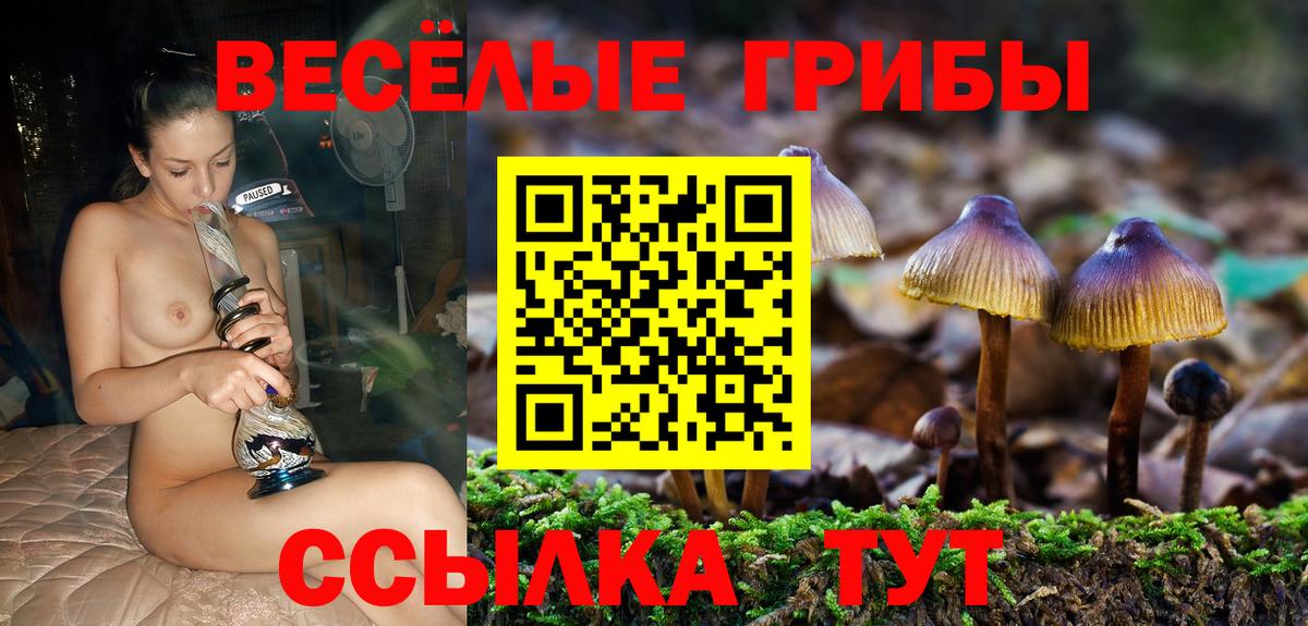 Галлюциногенные грибы мухоморы Фрязино