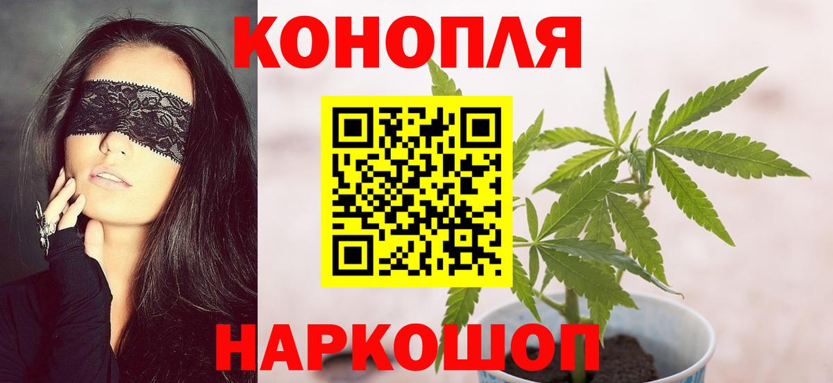 Конопля сатива Фрязино